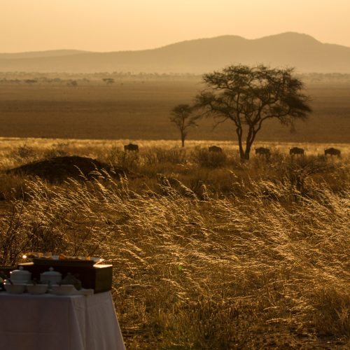 Tarangire National Park, Tanzania, Africa