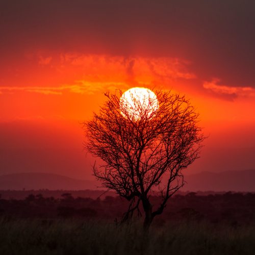 Tarangire National Park, Tanzania